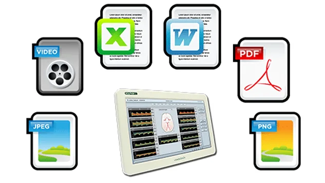 Formatos de exportação do Dolphin: PDF, Excel, Word, JPEG, PNG e vídeo